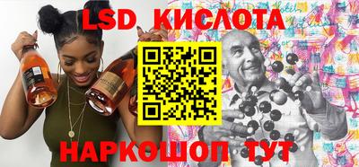 стаф Гай