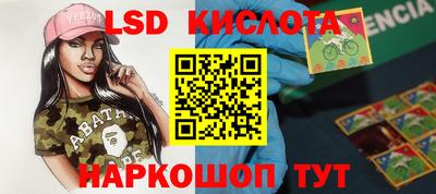 стаф Гай