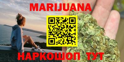 стаф Гай