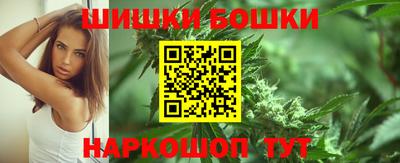стаф Гай
