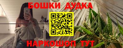 стаф Гай