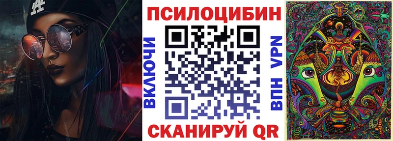 Псилоцибиновые грибы Psilocybine cubensis  Заволжье 