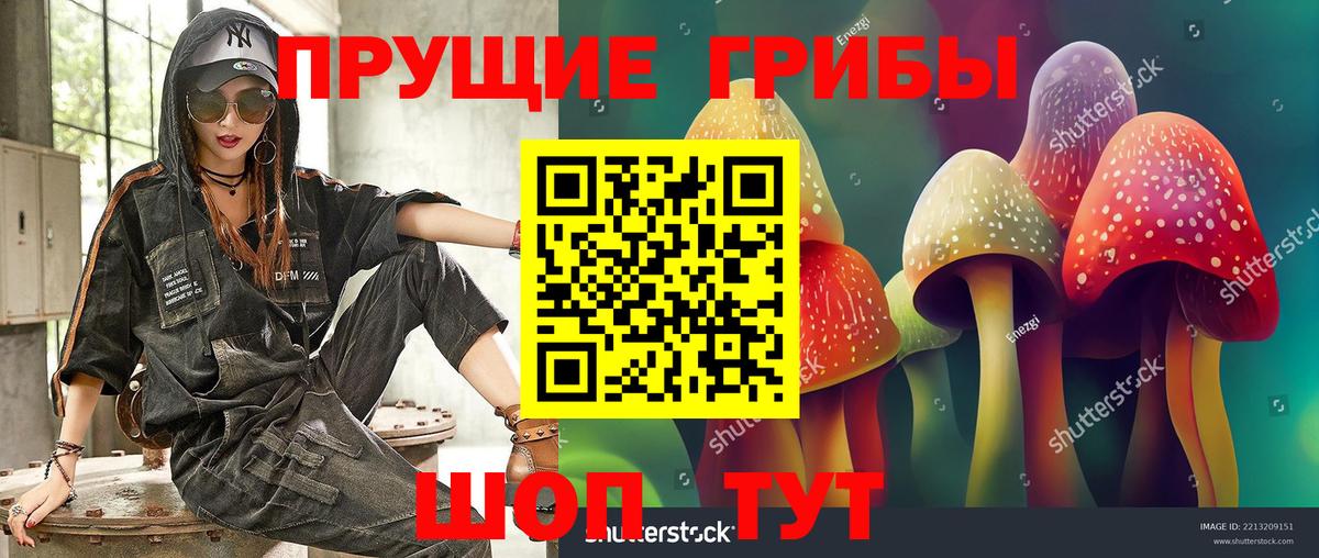 Псилоцибиновые грибы GOLDEN TEACHER Заволжье